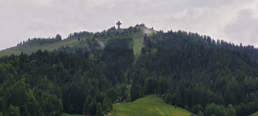 Grüne Hügel mit Bäumen und einer sanften Erhebung im Hintergrund.