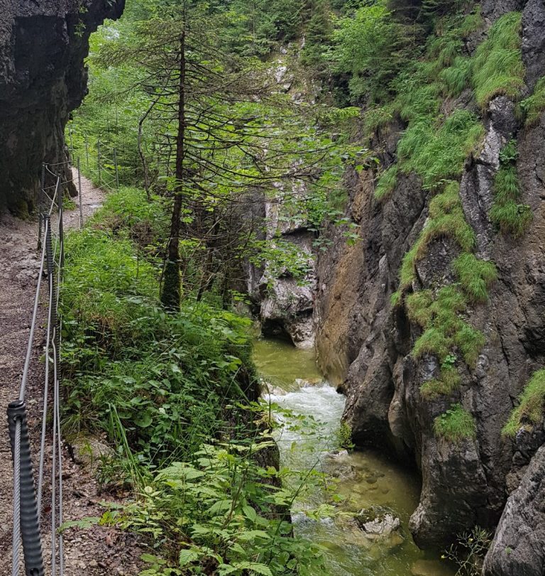 Kaiserklamm Schlucht mit einem schmalen Pfad, umgeben von grünen Wäldern und fließendem Wasser.