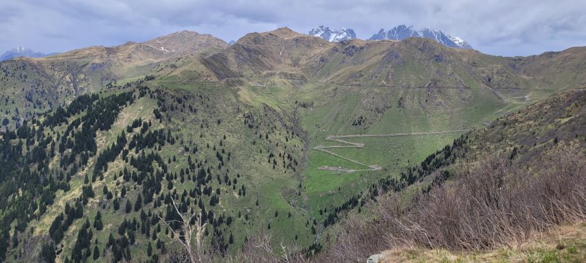 Panoramablick auf grüne Täler und bewaldete Berge unter einem cloudy Himmel.